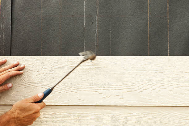 Best Storm Damage Siding Repair  in USA